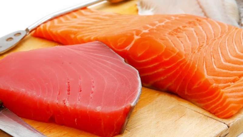 Ikan Salmon VS Ikan Tuna, Mana yang Lebih Sehat? Cek Perbandingan Gizinya Yuk!