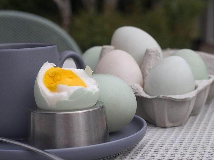 Cara Mengkonsumsi Telur Bebek Untuk Promil